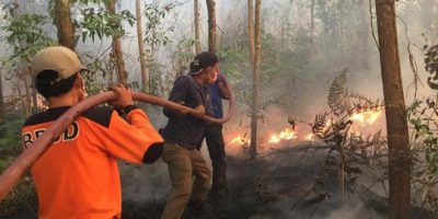 Kebakaran Hutan Di Riau: Investigasi Dugaan Izin Tambang Ilegal