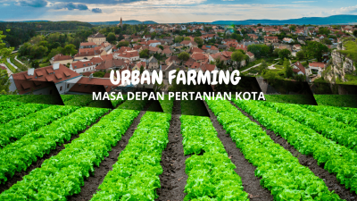 Urban Farming: Bertani Di Tengah Kota Untuk Hidup Berkelanjutan