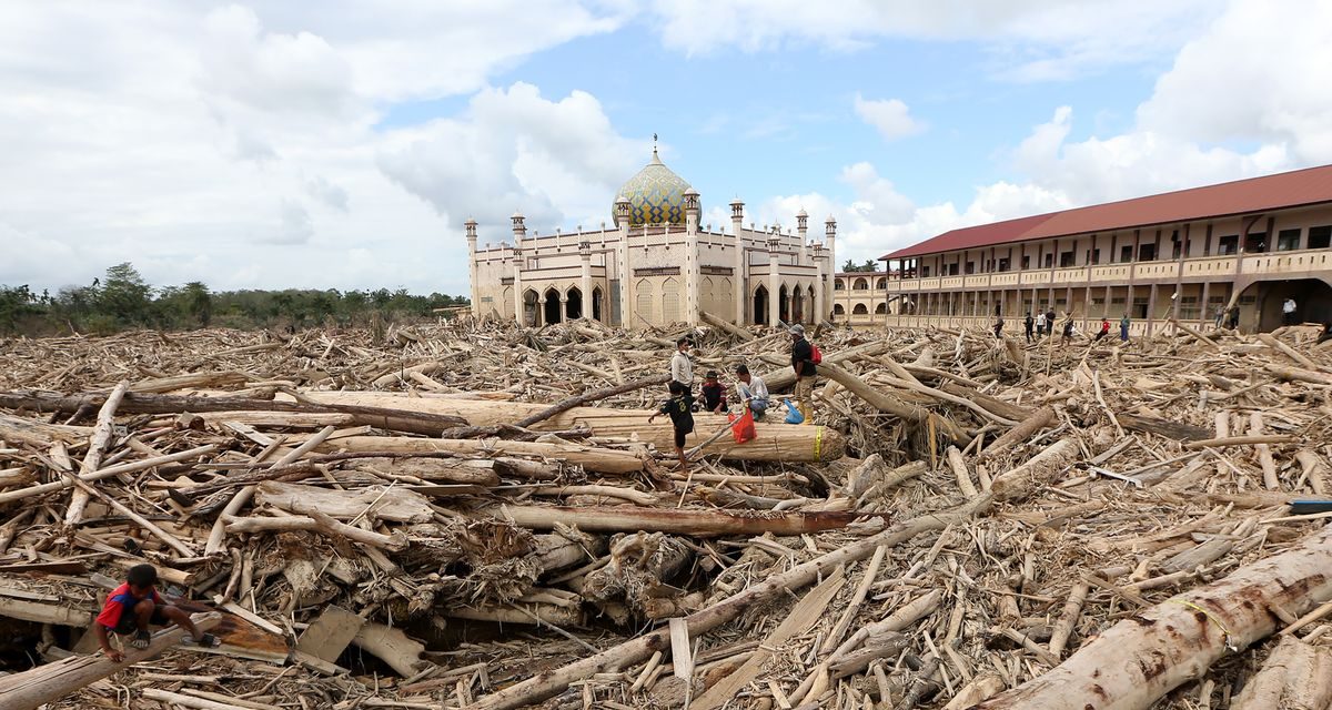 Nasib Buruh Pasca 28 Perusahaan Di Sumatera Kehilangan Izin