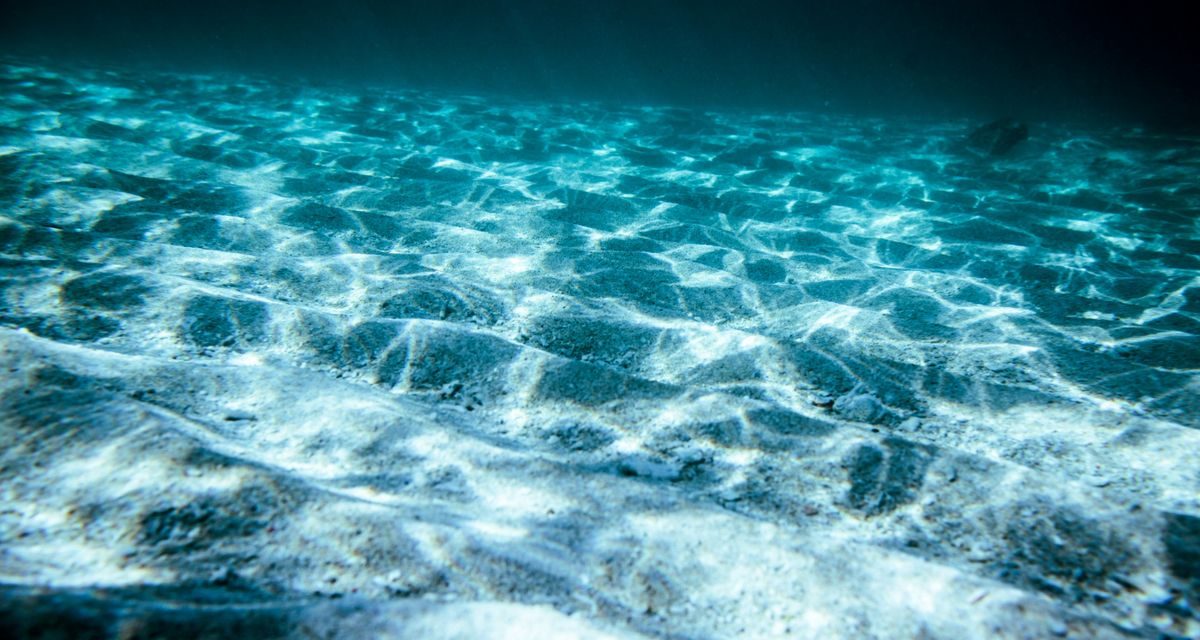 Intip Masa Depan Laut Lewat Pesan Dari Plankton Purba