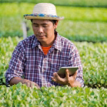 3 Prospek Kerja Jurusan Perkebunan Yang Menjanjikan