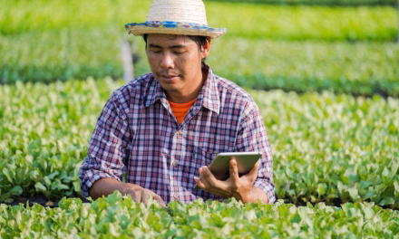 3 Prospek Kerja Jurusan Perkebunan Yang Menjanjikan