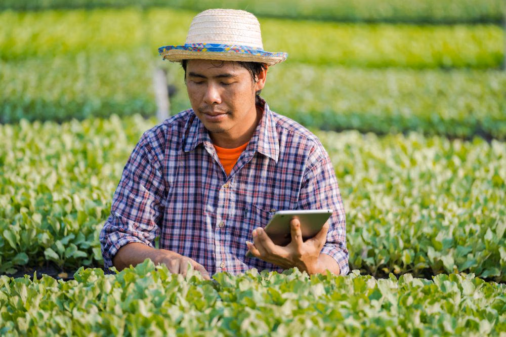 3 Prospek Kerja Jurusan Perkebunan Yang Menjanjikan