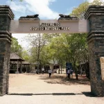 Mau Ke Komodo? Cek Aturan Baru Pembatasan Kunjungan 2026