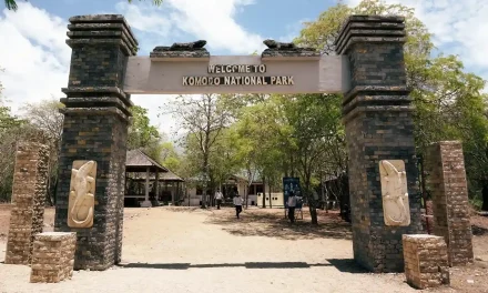 Mau Ke Komodo? Cek Aturan Baru Pembatasan Kunjungan 2026