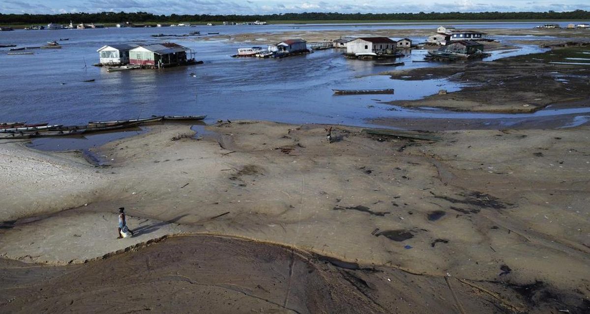Amazon Di Gunduli, Kekeringan Kini Di Depan Mata!