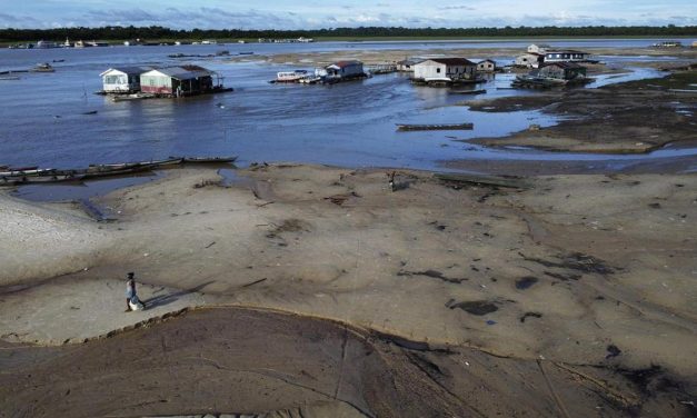 Amazon Di Gunduli, Kekeringan Kini Di Depan Mata!