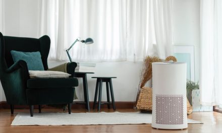 Mau Beli Air Purifier? Pahami Dulu 3 Kelemahannya Berikut Ini