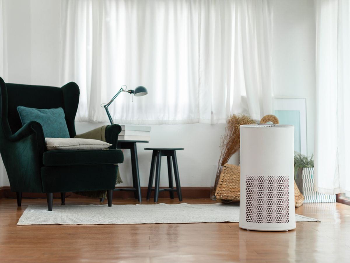 Mau Beli Air Purifier? Pahami Dulu 3 Kelemahannya Berikut Ini