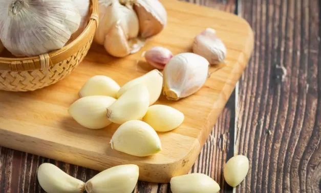 Manfaat Bawang Putih Buat Kebugaran Tubuh