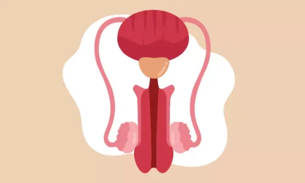 Testosteron Anjlok? Hati-Hati, Kesehatan Pria Taruhannya!