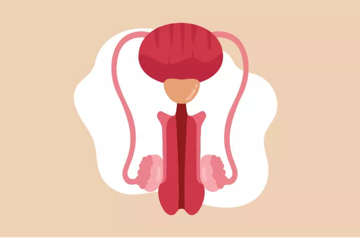 Testosteron Anjlok? Hati-Hati, Kesehatan Pria Taruhannya!