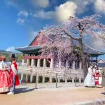Tempat Wisata Hits Korea Selatan Yang Wajib Di Kunjungi