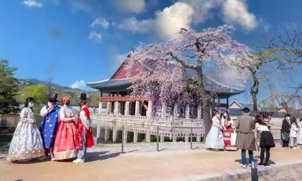 Tempat Wisata Hits Korea Selatan Yang Wajib Di Kunjungi