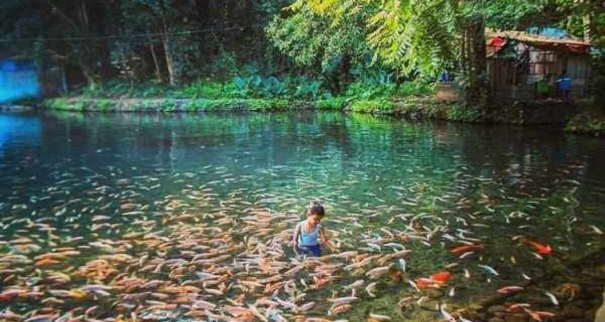 Spot Healing Terbaik Di Salatiga Untuk Lepas Penat