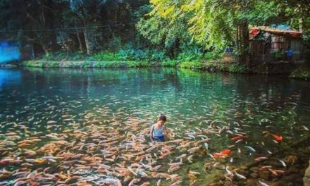 Spot Healing Terbaik Di Salatiga Untuk Lepas Penat