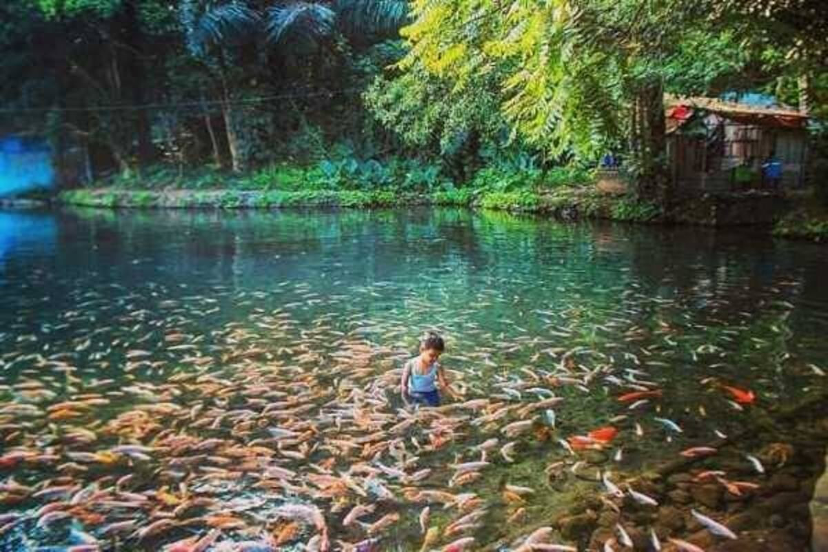 Spot Healing Terbaik Di Salatiga Untuk Lepas Penat